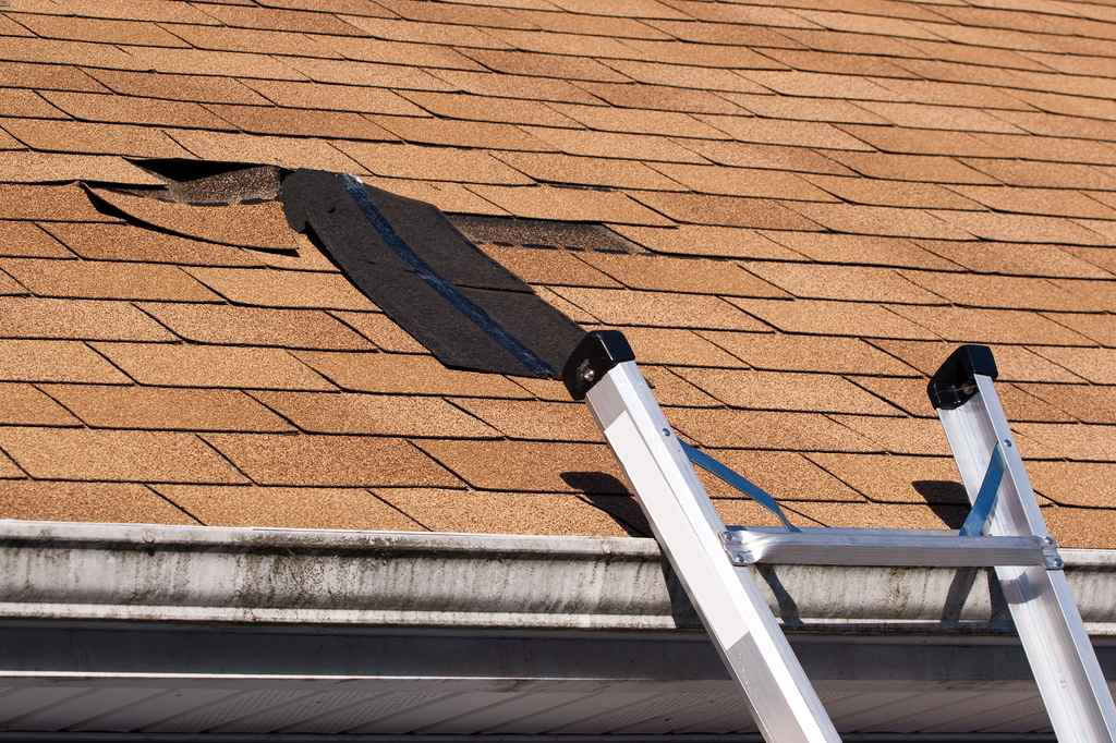 reliable roof repair company Palm Coast, FL