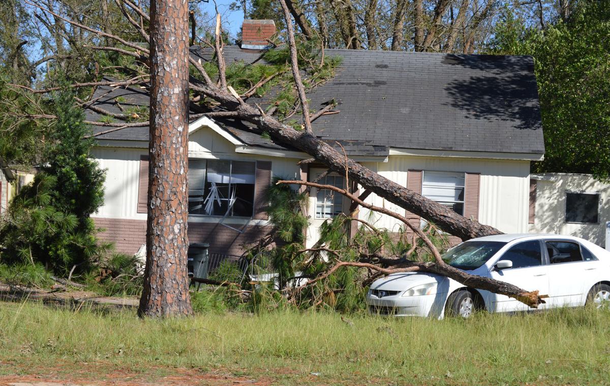 A fallen tree on a residential roof in Jacksonville that needs Emergency Roof Repair Service