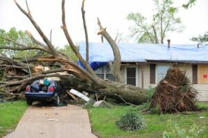 hurricane damage in Palm Coast