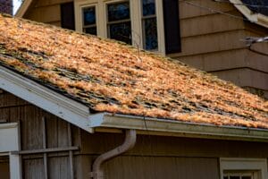 spring roof problems, spring roof damage, roof damage repair, Lakewood