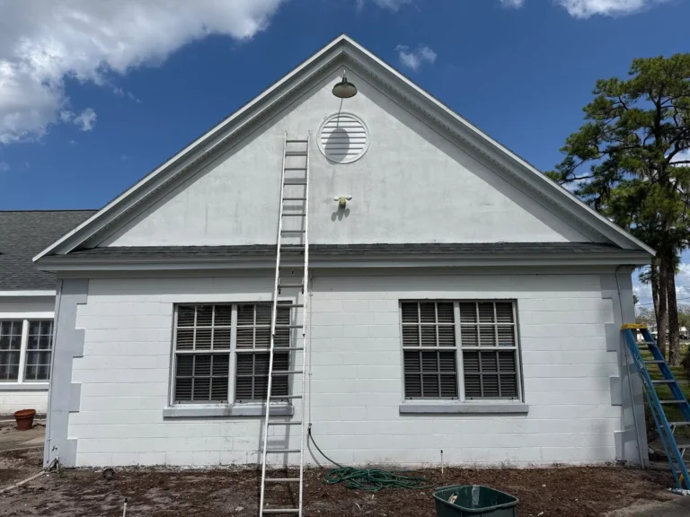 Shingle Roof Peak Ladder View