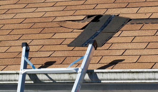 roof leak insepction